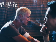 《塑胶花》主演表