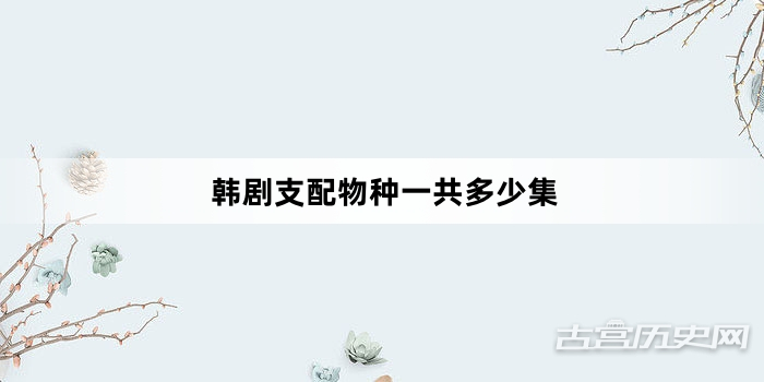 韩剧支配物种一共多少集