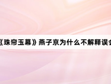 《珠帘玉幕》燕子京为什么不解释误会