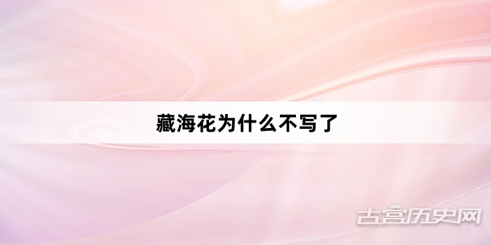藏海花为什么不写了