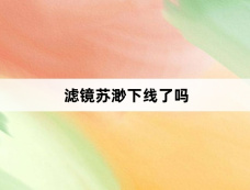 滤镜苏渺下线了吗