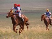 蒙古族传统体育运动