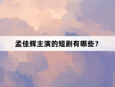 孟佳辉主演的短剧有哪些？