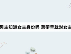 墨雨云间男主知道女主身份吗 萧蘅早就对女主一见钟情