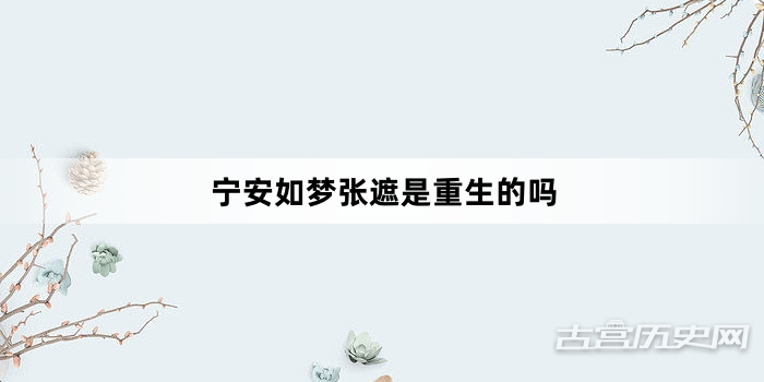 宁安如梦张遮是重生的吗