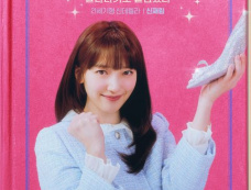 韩剧《我明目张胆地梦想成为灰姑娘》角色介绍