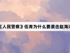 《人民警察》伍青为什么要袭击赵海洋