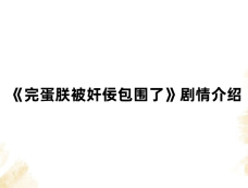 《完蛋朕被奸佞包围了》剧情介绍