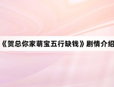 《贺总你家萌宝五行缺钱》剧情介绍