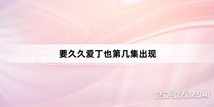 要久久爱丁也第几集出现