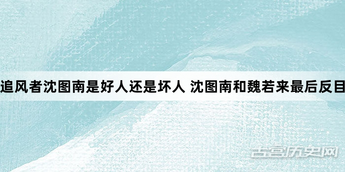 追风者沈图南是好人还是坏人 沈图南和魏若来最后反目了吗
