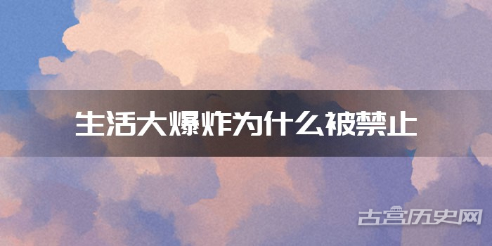 生活大爆炸为什么被禁止