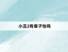 小丑2有章子怡吗