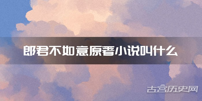 郎君不如意原著小说叫什么