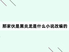 那家伙是黑炎龙是什么小说改编的