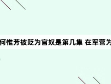国色芳华何惟芳被贬为官奴是第几集 在军营为奴受尽苦楚