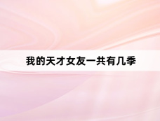 我的天才女友一共有几季