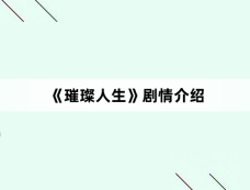《璀璨人生》剧情介绍