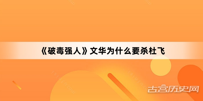 《破毒强人》文华为什么要杀杜飞
