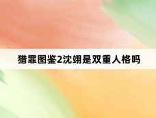 猎罪图鉴2沈翊是双重人格吗