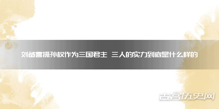刘备曹操孙权作为三国君主 三人的实力到底是什么样的