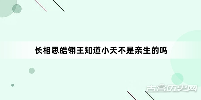 长相思皓翎王知道小夭不是亲生的吗