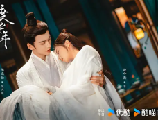 《度华年》苏容卿机关算尽