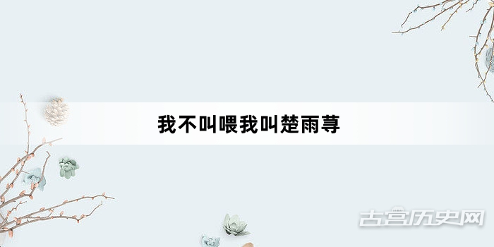 “我不叫喂我叫楚雨荨”网络梗词解释