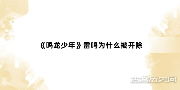 《鸣龙少年》雷鸣为什么被开除