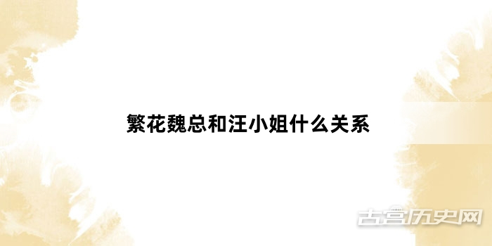 繁花魏总和汪小姐什么关系