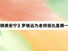 《锦绣安宁》罗慎远为老师报仇是哪一集