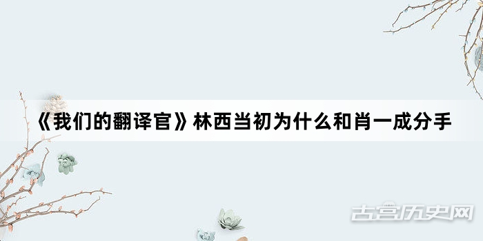 《我们的翻译官》林西当初为什么和肖一成分手
