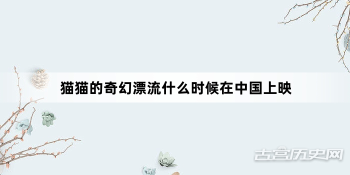 猫猫的奇幻漂流什么时候在中国上映