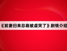 《前妻归来总裁被虐哭了》剧情介绍