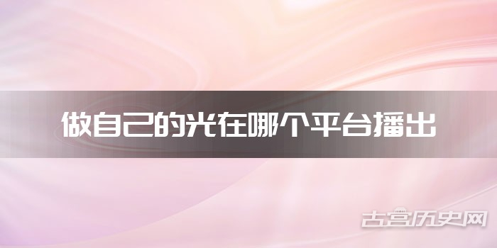 做自己的光在哪个平台播出