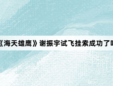 《海天雄鹰》谢振宇试飞挂索成功了吗