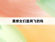 黑修女们是网飞的吗