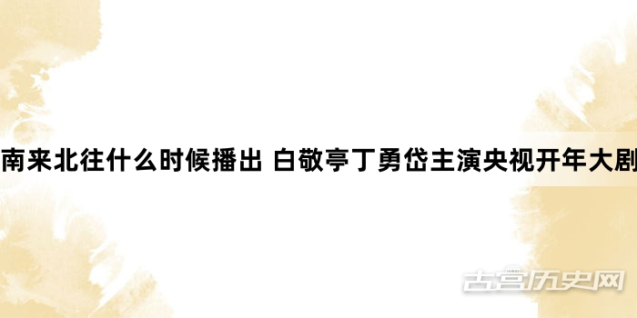 南来北往什么时候播出 白敬亭丁勇岱主演央视开年大剧