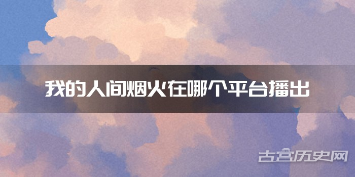 我的人间烟火在哪个平台播出