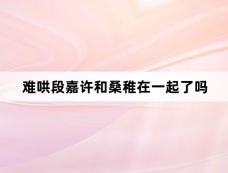 难哄段嘉许和桑稚在一起了吗