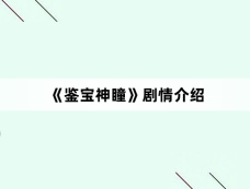 《鉴宝神瞳》剧情介绍