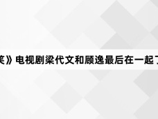 《失笑》电视剧梁代文和顾逸最后在一起了吗?