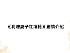 《我赠妻子红缨枪》剧情介绍