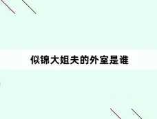 似锦大姐夫的外室是谁