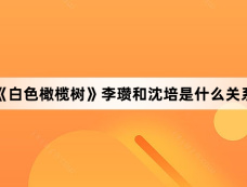 《白色橄榄树》李瓒和沈培是什么关系