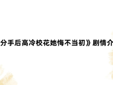 《分手后高冷校花她悔不当初》剧情介绍