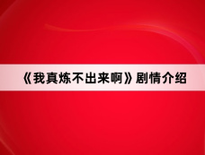 《我真炼不出来啊》剧情介绍