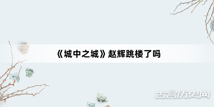 《城中之城》赵辉跳楼了吗