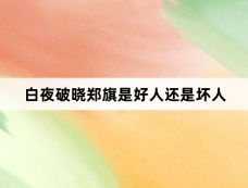 白夜破晓郑旗是好人还是坏人