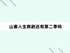 山寨人生韩剧还有第二季吗